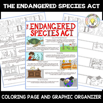 Preview of The Endangered Species Act Sketch Notes