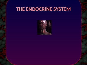 Preview of The Endocrine System