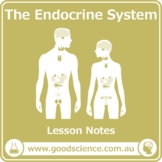 The Endocrine System [Lesson Notes]