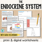 The Endocrine System - Reading Comprehension Worksheets