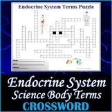 The Endocrine System Science Crossword Puzzle Activity Worksheet