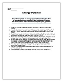 The Energy Pyramid