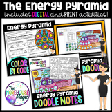 The Energy Pyramid Activities Bundle