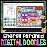 The Energy Pyramid Digital Doodles | Science Digital Doodl