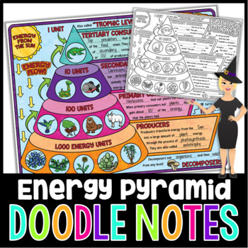 Preview of The Energy Pyramid Doodle Notes | Science Doodle Notes