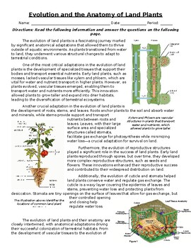 Preview of The Evolution and Anatomy of Land Plants: Text, Images, & Assessment