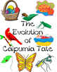 the evolution of calpurnia tate series