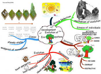 The Evolution of Ecosystem Mind Map by AlphaMel | TpT