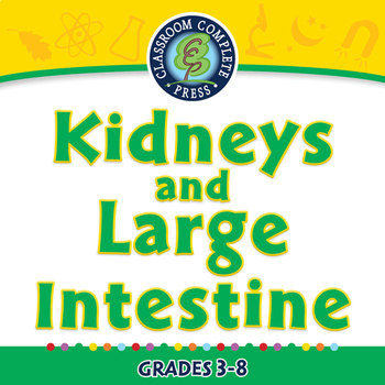 Preview of The Excretory System - Kidneys and Large Intestine - NOTEBOOK Gr. 3-8