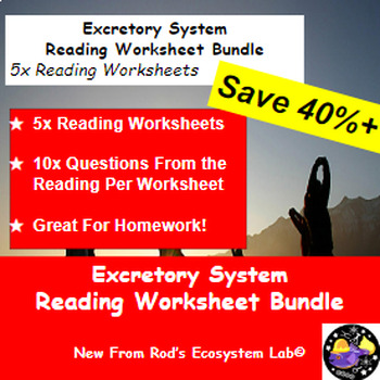 Preview of The Excretory System Lesson Reading Worksheet Bundle **Editable**