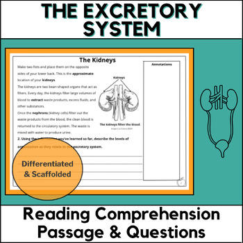 Preview of The Excretory System - Science Reading Comprehension Passage
