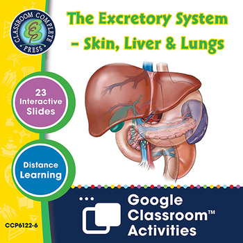 Preview of The Excretory System – Skin, Liver & Lungs - Google Slides Gr. 5-8