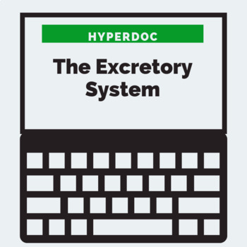 Preview of The Excretory (Urinary) System Hyperdoc (Google Doc) 