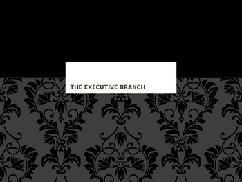 Preview of The Executive Branch