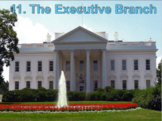 The Executive Branch (U.S. Government) Bundle with Video