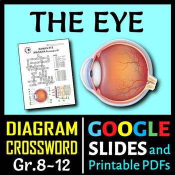 Preview of Eye Crossword with Diagram | Editable, Printable & Distance Learning Options