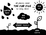 The Fab Five Poster: what all plants need to stay alive (E