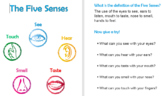 The Five Senses