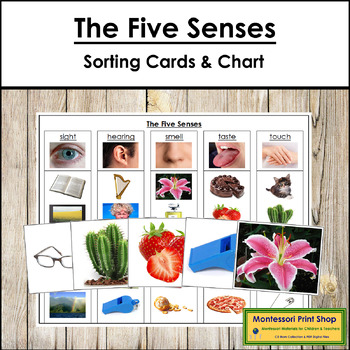 Preview of The Five Senses (5 Senses) - Sorting Cards & Control Chart