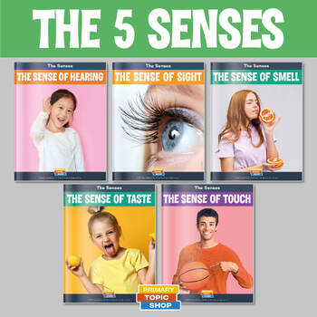 Preview of The Five Senses