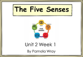The Five Senses Supplementary Unit |K Knowledge Unit 2 (CK