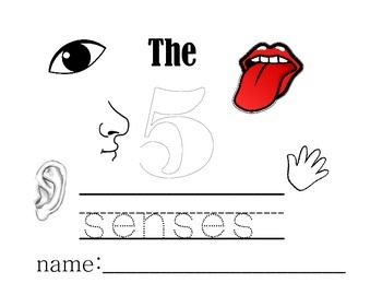 Preview of The Five Senses Book