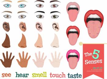 Preview of The Five Senses Clip Art Set
