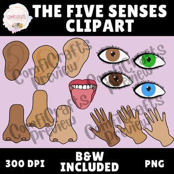 The Five Senses Clipart by ComfiCrafts | TPT