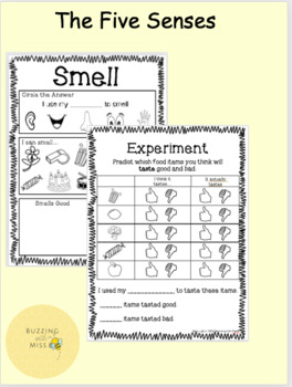 Preview of The Five Senses: Experiments and Worksheets