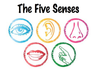 Preview of The Five Senses Lesson Plan & Stations Packet