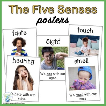 Preview of The Five Senses Posters Freebie!