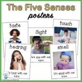 The Five Senses Posters Freebie!