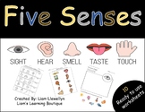 The Five Senses - PreK to G2 - Science