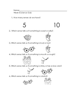 Quiz 1 cs 5° - p3 worksheet