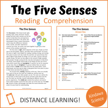 Preview of The Five Senses Reading Comprehension Passage and Questions I Google Form Quiz