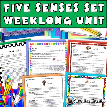 Preview of Five Senses Science Activity Kindergarten Preschool SPED 5 Senses Worksheet