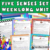 Five Senses Science Activity Kindergarten Preschool SPED 5