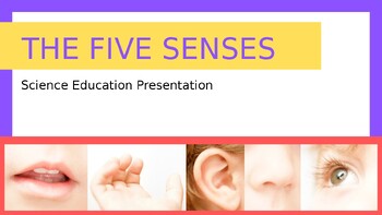 Preview of The Five Senses Science Education Presentation