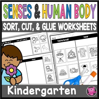 Preview of Parts of the Body and The Five Senses Worksheets