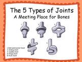 The Five Types of Joints PowerPoint and Additional Resources