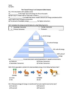 Preview of The Flow of Energy in an Ecosystem - Quiz | Easel Activity & Printable PDF
