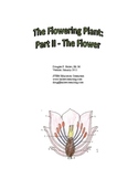 The Flowering Plant: Part II - The Flower