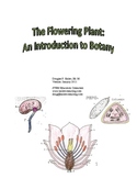 The Flowering Plant: Parts 1-4