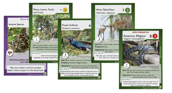 Preview of The Food Chain Game: Florida Everglades Freshwater