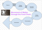 The Food Chain – Movement of matter (distance learning option)