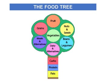 Preview of The Food Tree