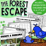 The Forest Escape: Hands-on Escape Room Activity for TK, K