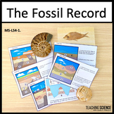 The Fossil Record Analyzing Patterns - Evolution