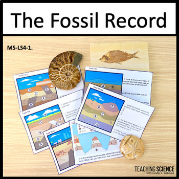 Preview of The Fossil Record Analyzing Patterns and Evidence of Evolution Fossil Evidence