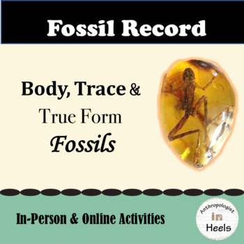 Preview of The Fossil Record: Analyzing Patterns and Time Periods ☆